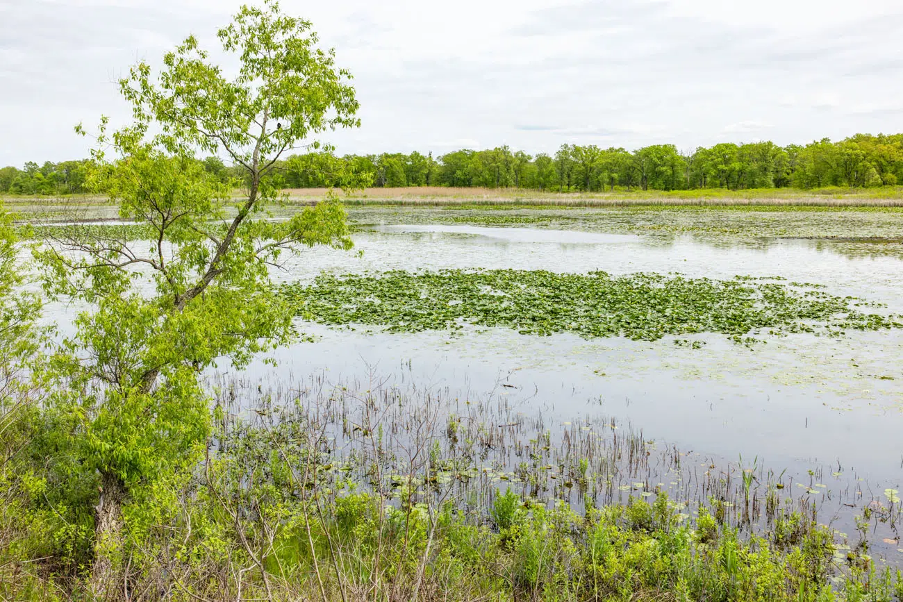 Long Lake Indiana Dunes