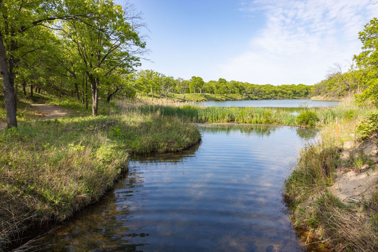 Paul H Douglas Ponds