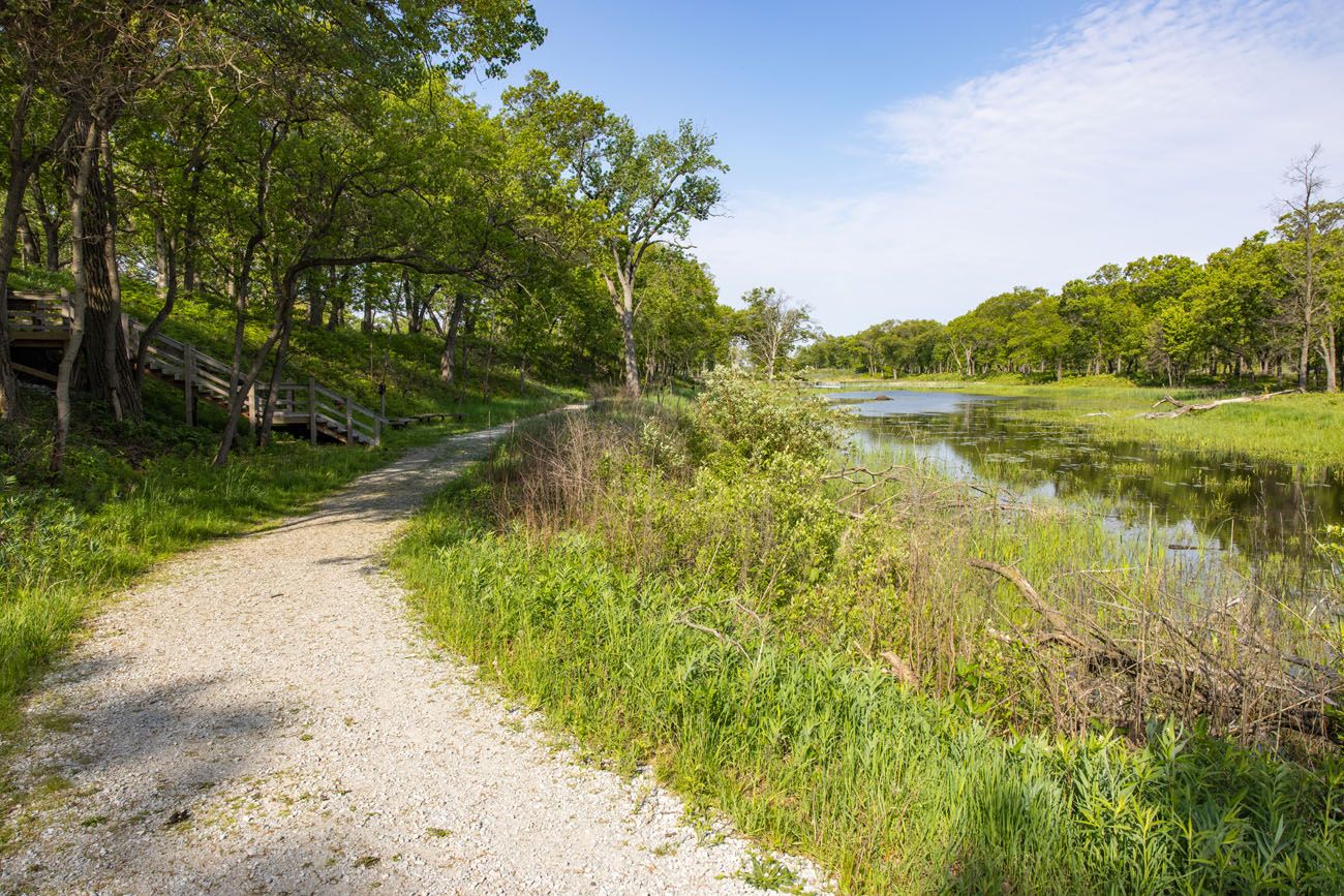 Paul H Douglas Trail