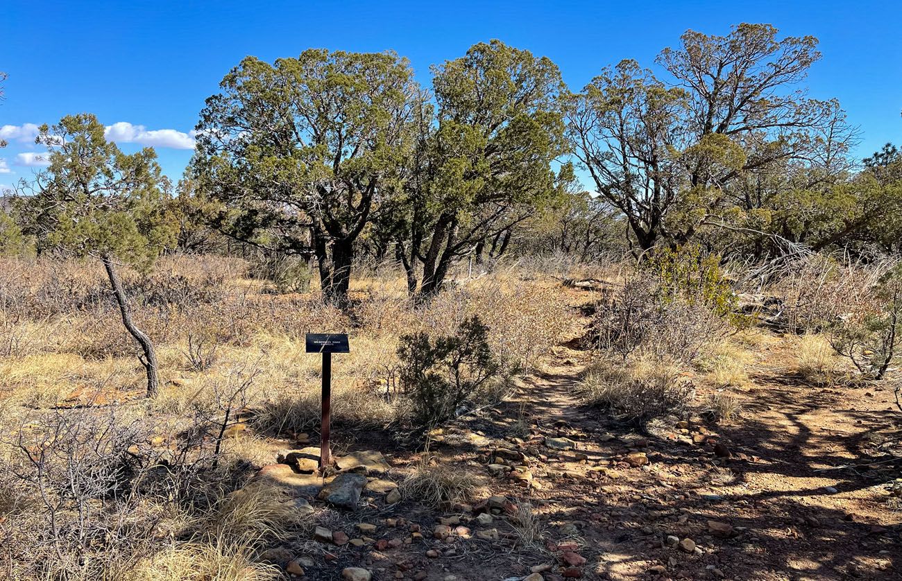 Wilderness Ridge Campsite