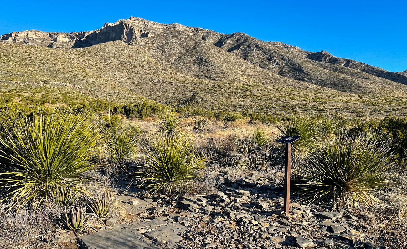 Permian Reef Trail