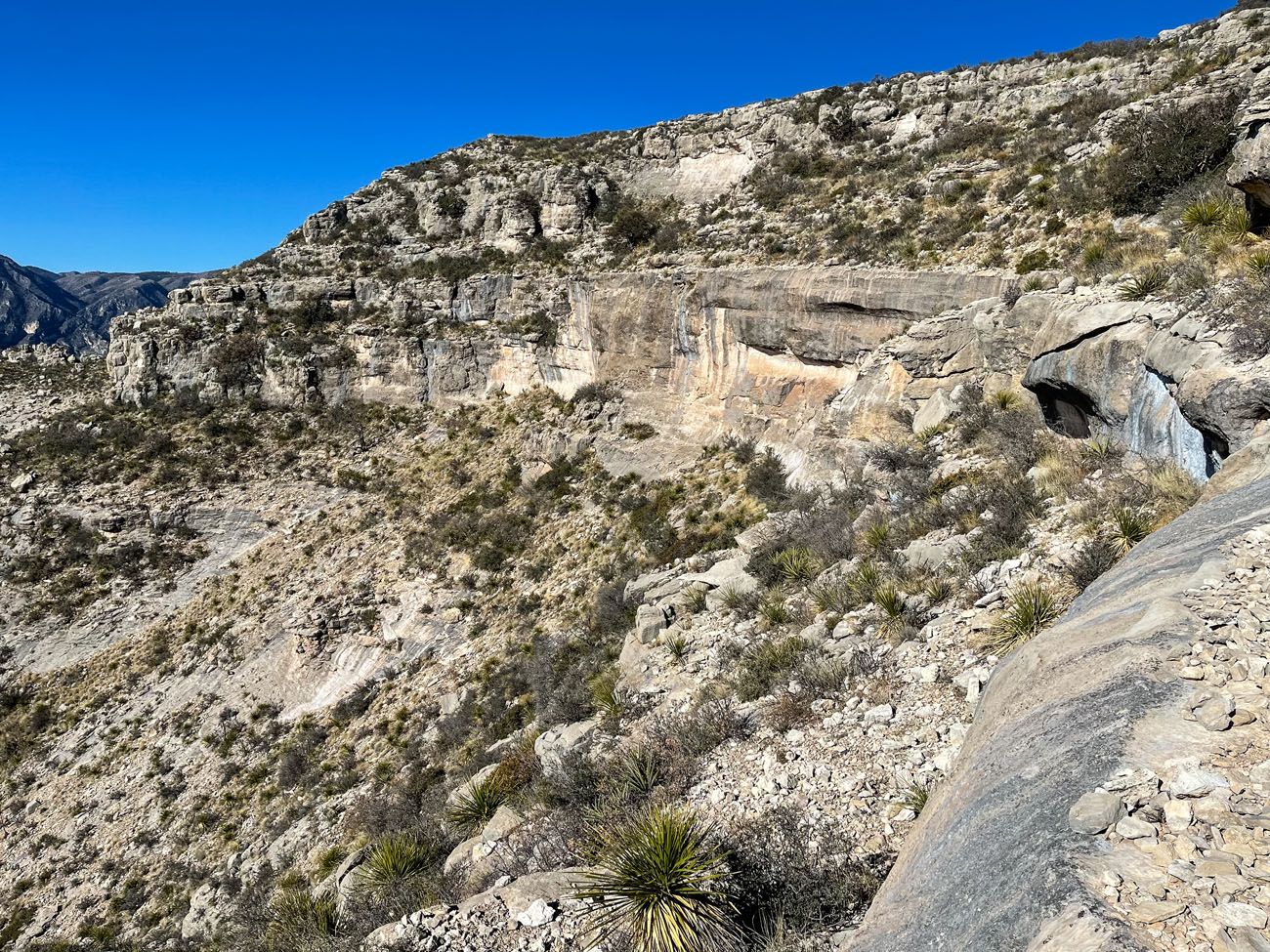 Permian Reef Trail