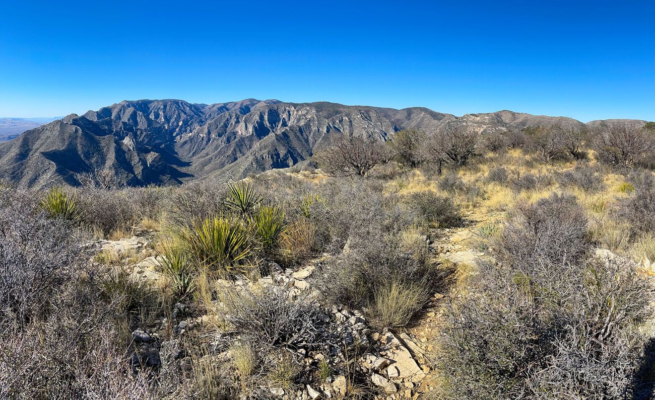 Permian Reef Trail