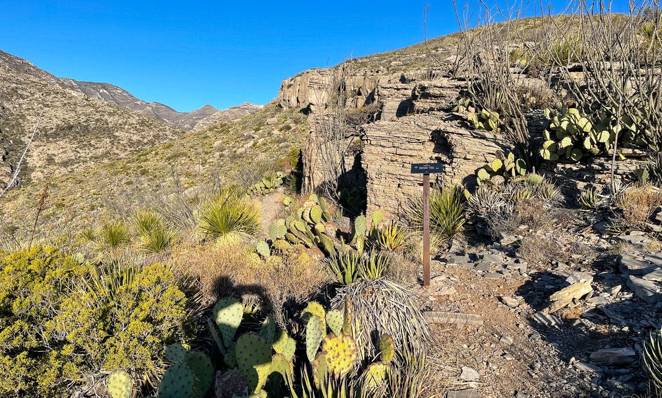 Permian Reef Trail