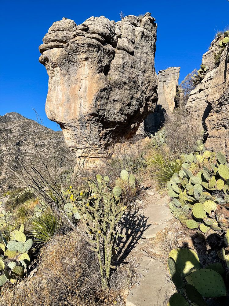 Permian Reef Trail