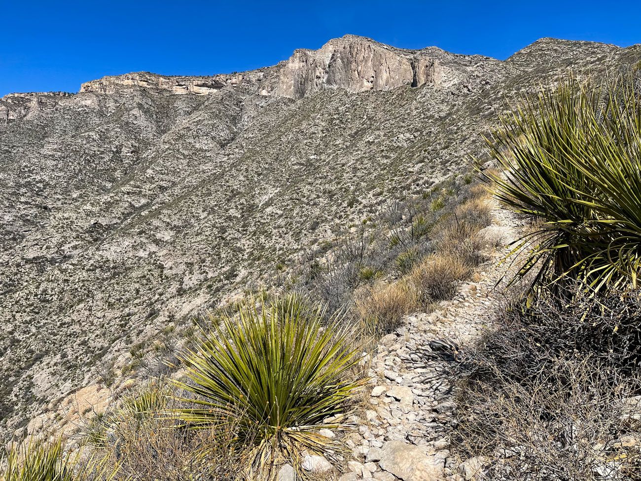 Permian Reef Trail