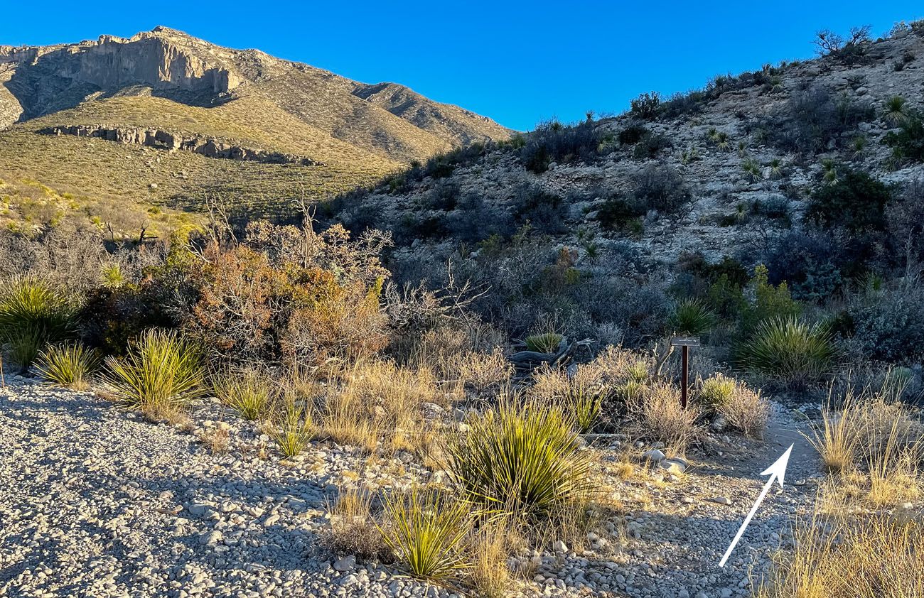 Permian Reef Trail