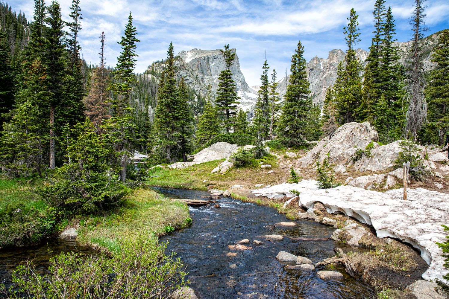 National Parks in June