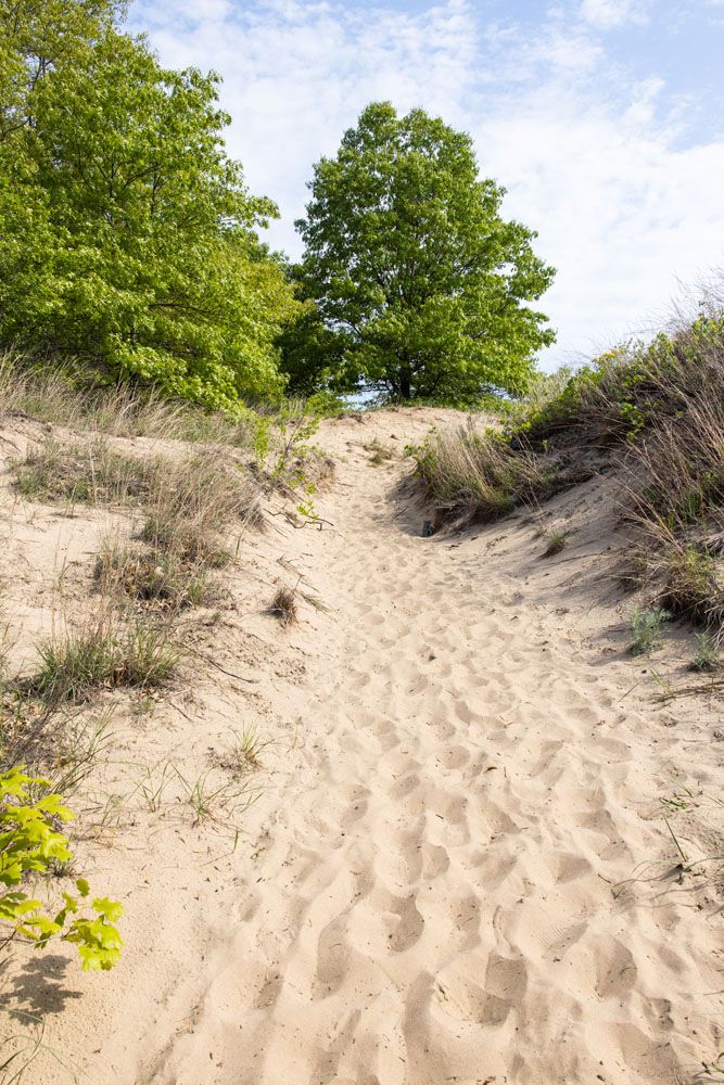 Sandy Trail