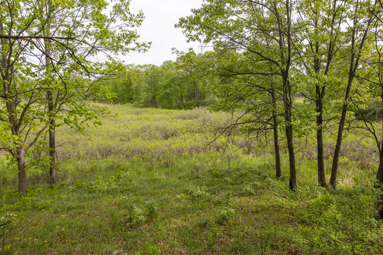 Tolleston Dunes Overlook