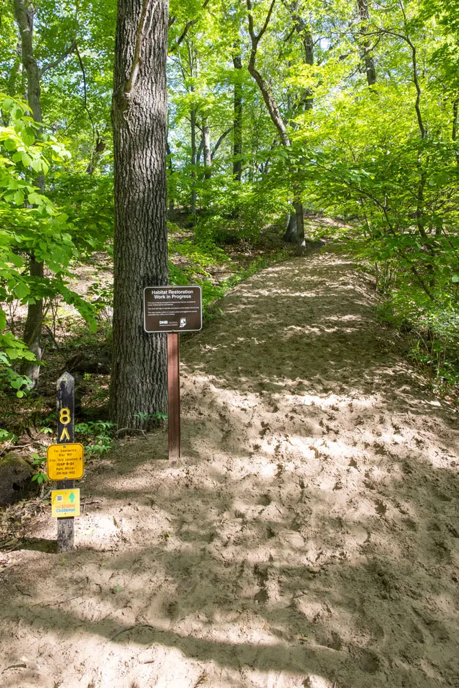 Trail 8 Indiana Dunes