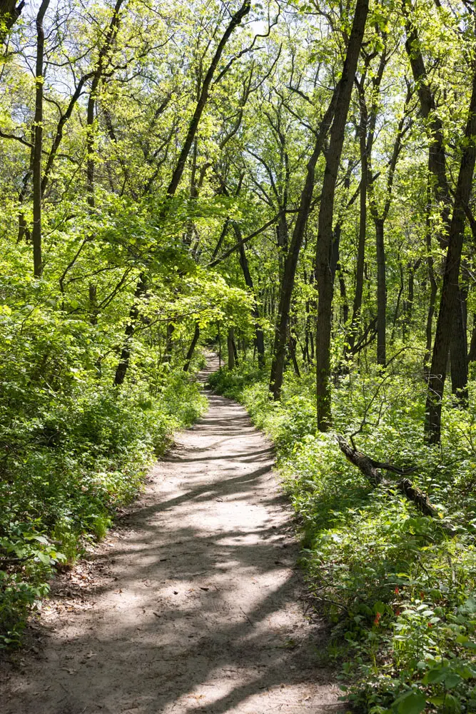 Trail 9 Indiana Dunes