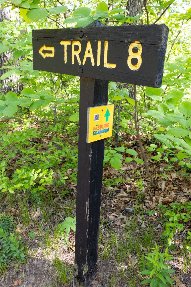 Trail Marker Indiana Dunes