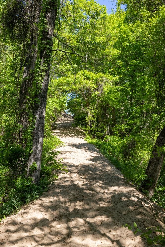 Trail to Mt Holden