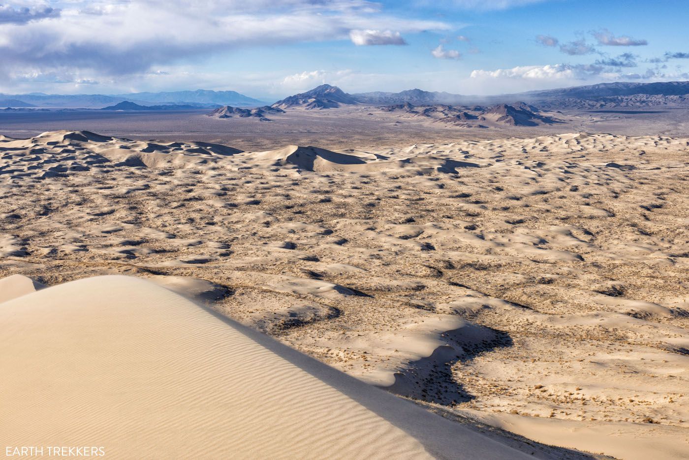 View from Top of Kelso Dunes