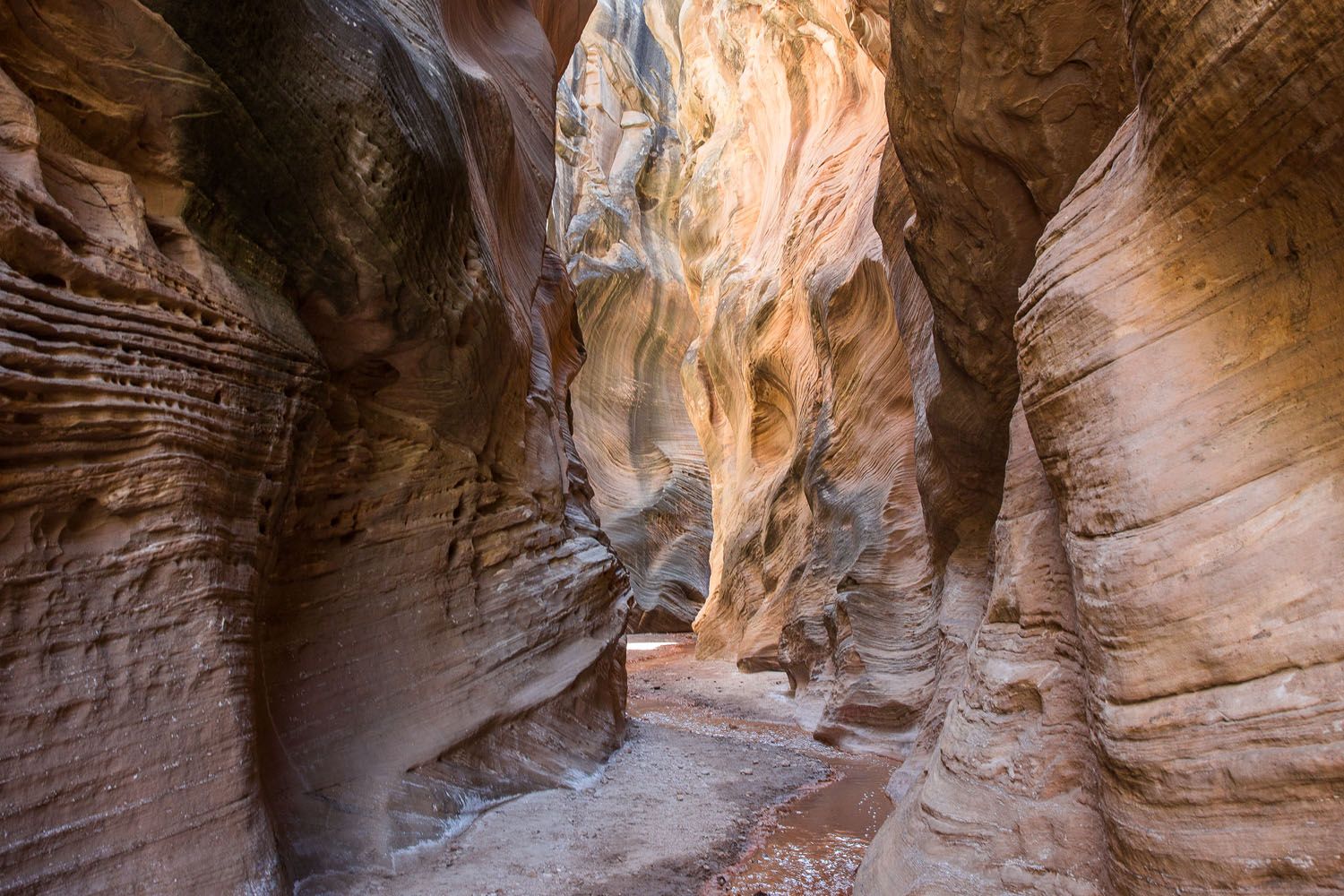 Willis Creek