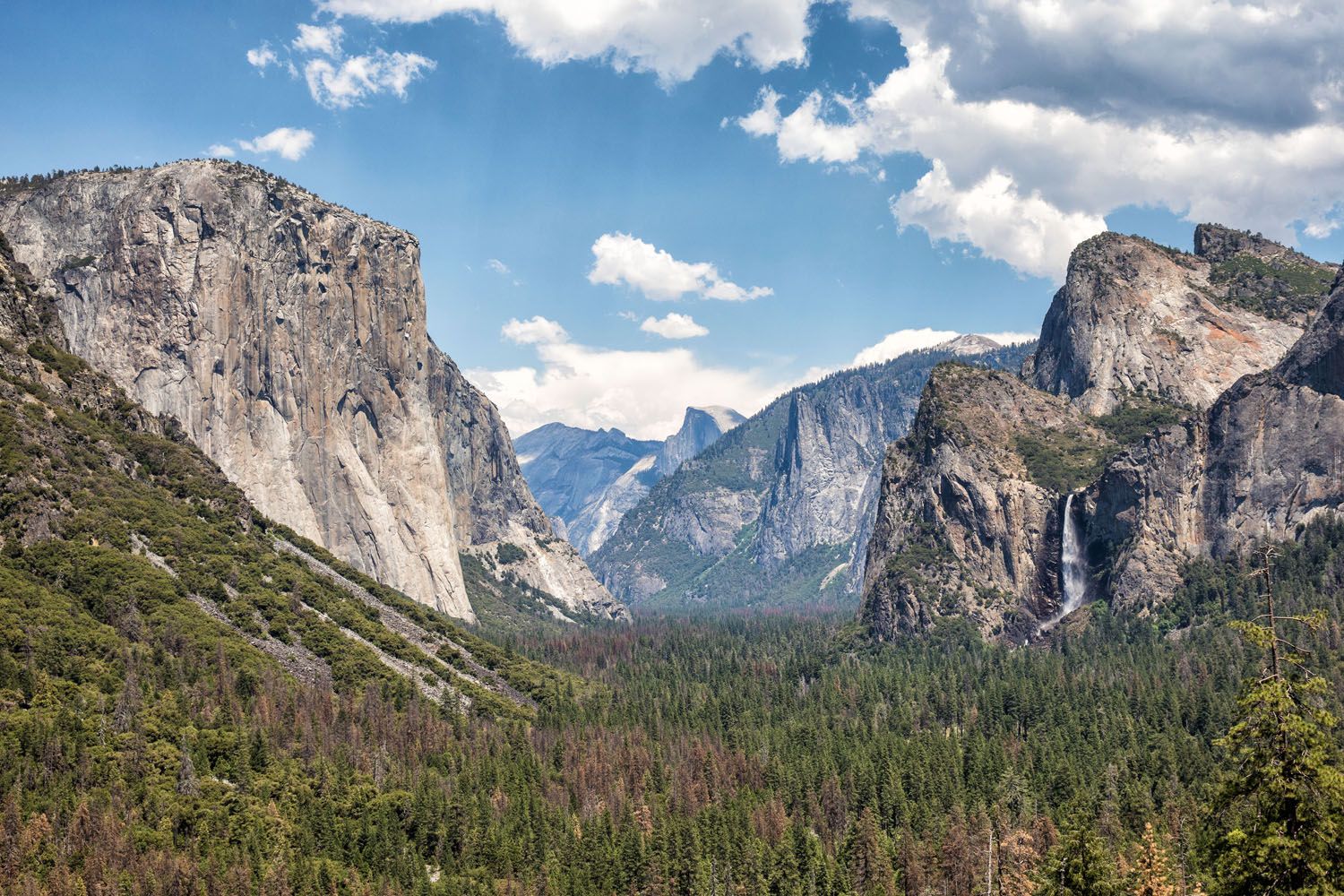 Yosemite National Park