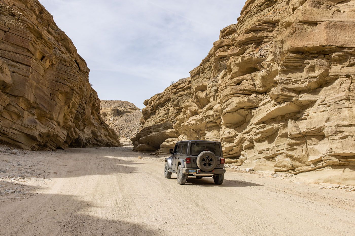 Fish Creek Wash | Anza-Borrego Desert State Park