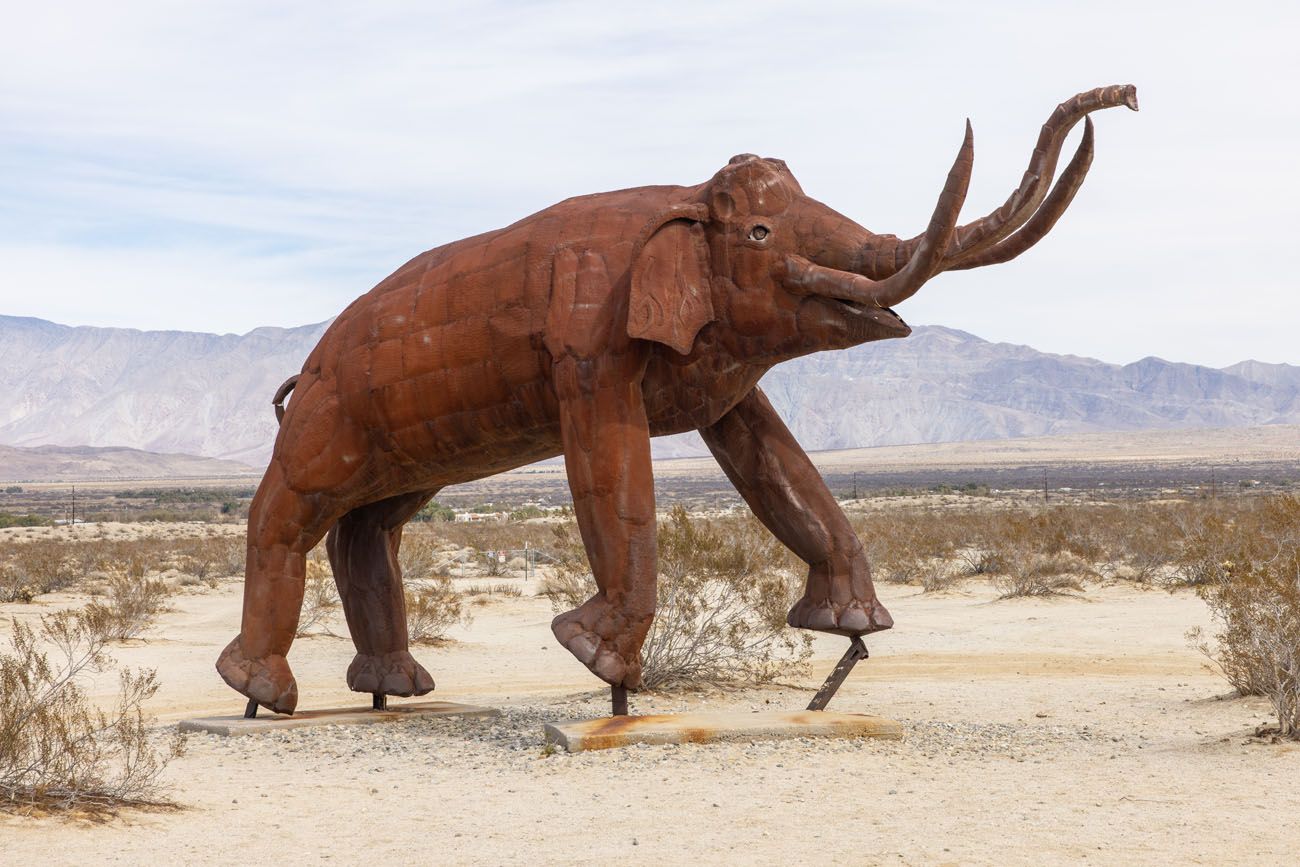 Galleta Meadows Elephant