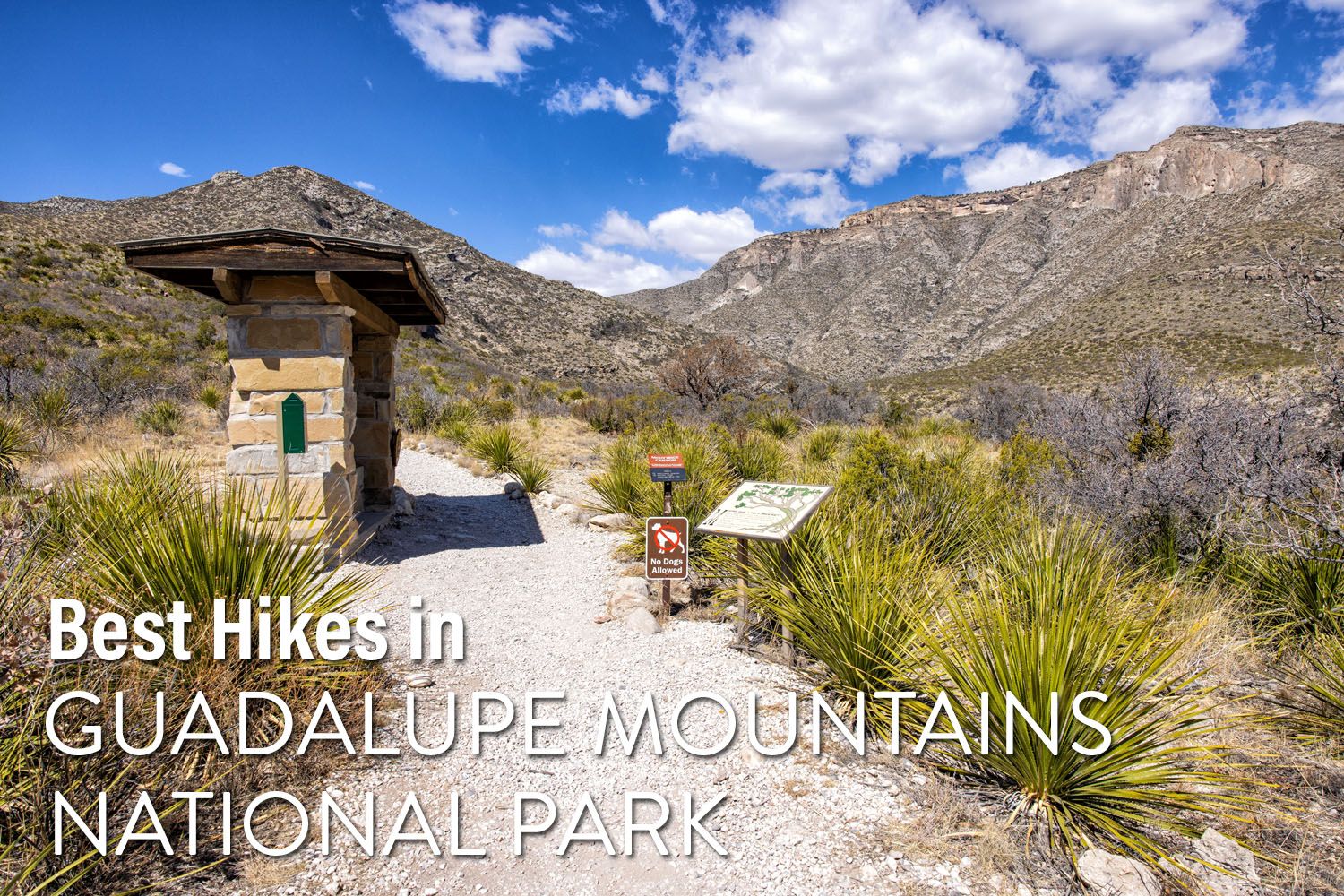 Hikes in Guadalupe Mountains