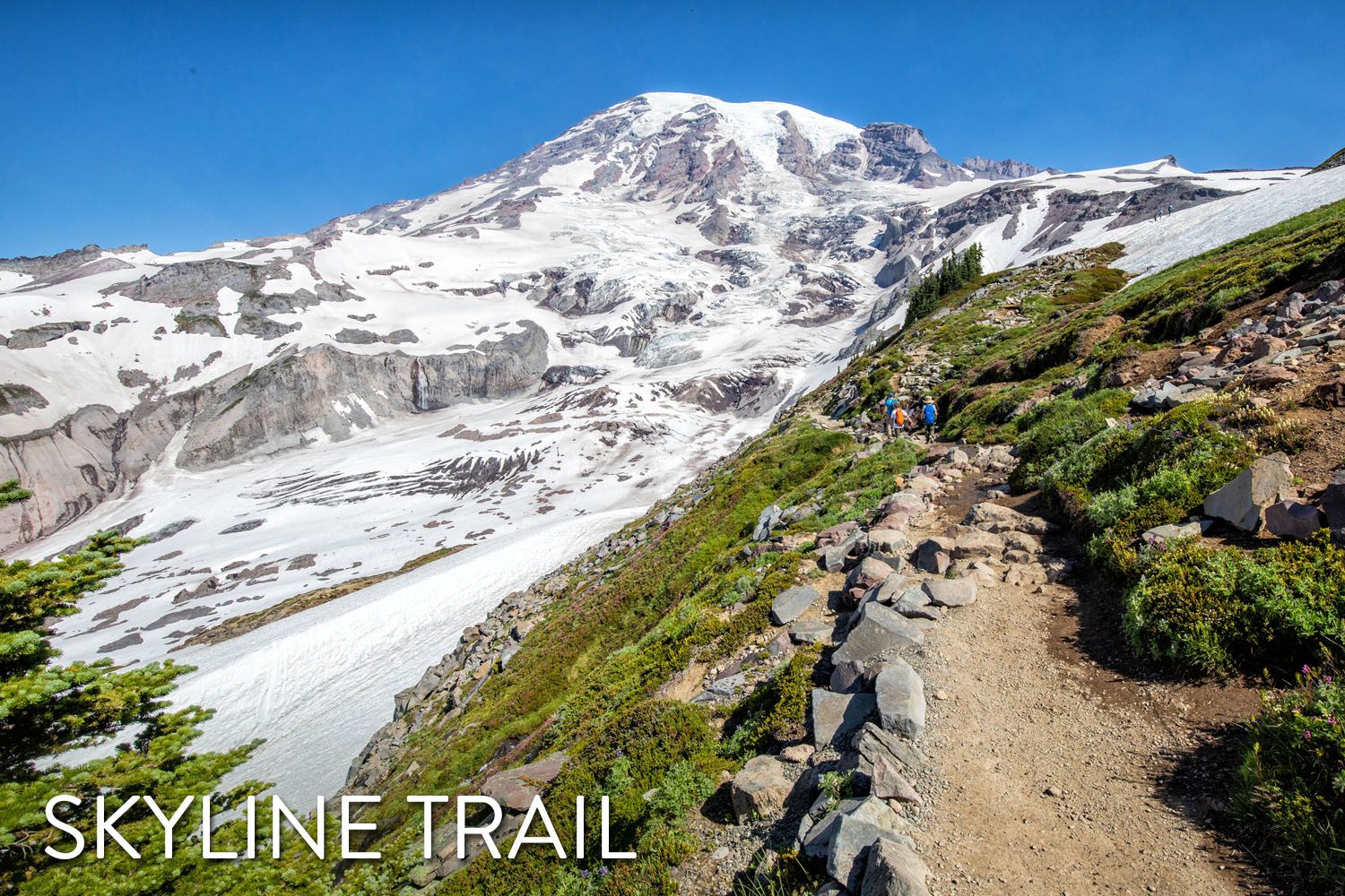 Mount Rainier National Park