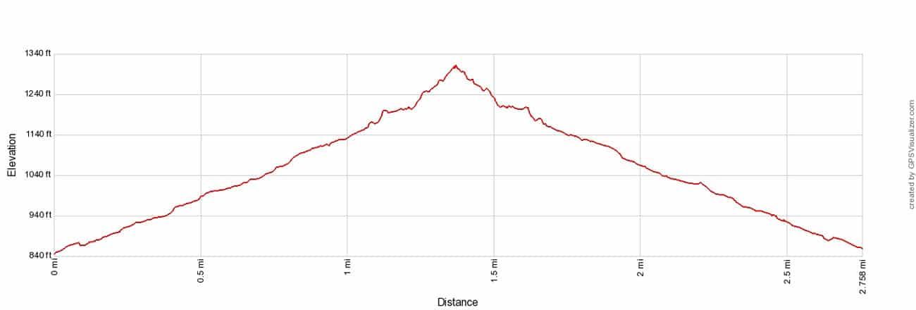 Palm Canyon Trail Elevation Profile