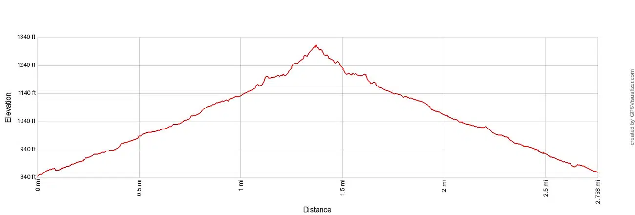 Palm Canyon Trail Elevation Profile