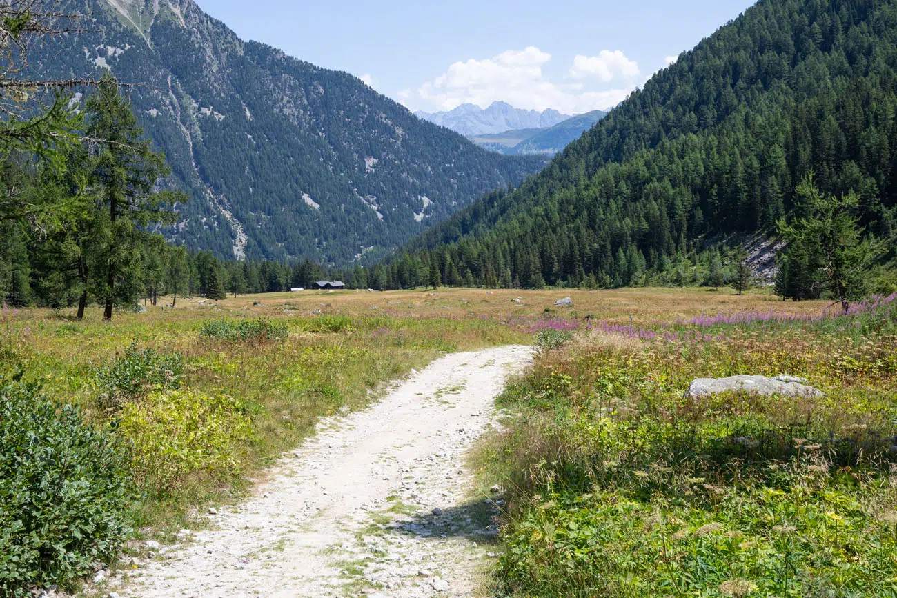 Flat Trail
