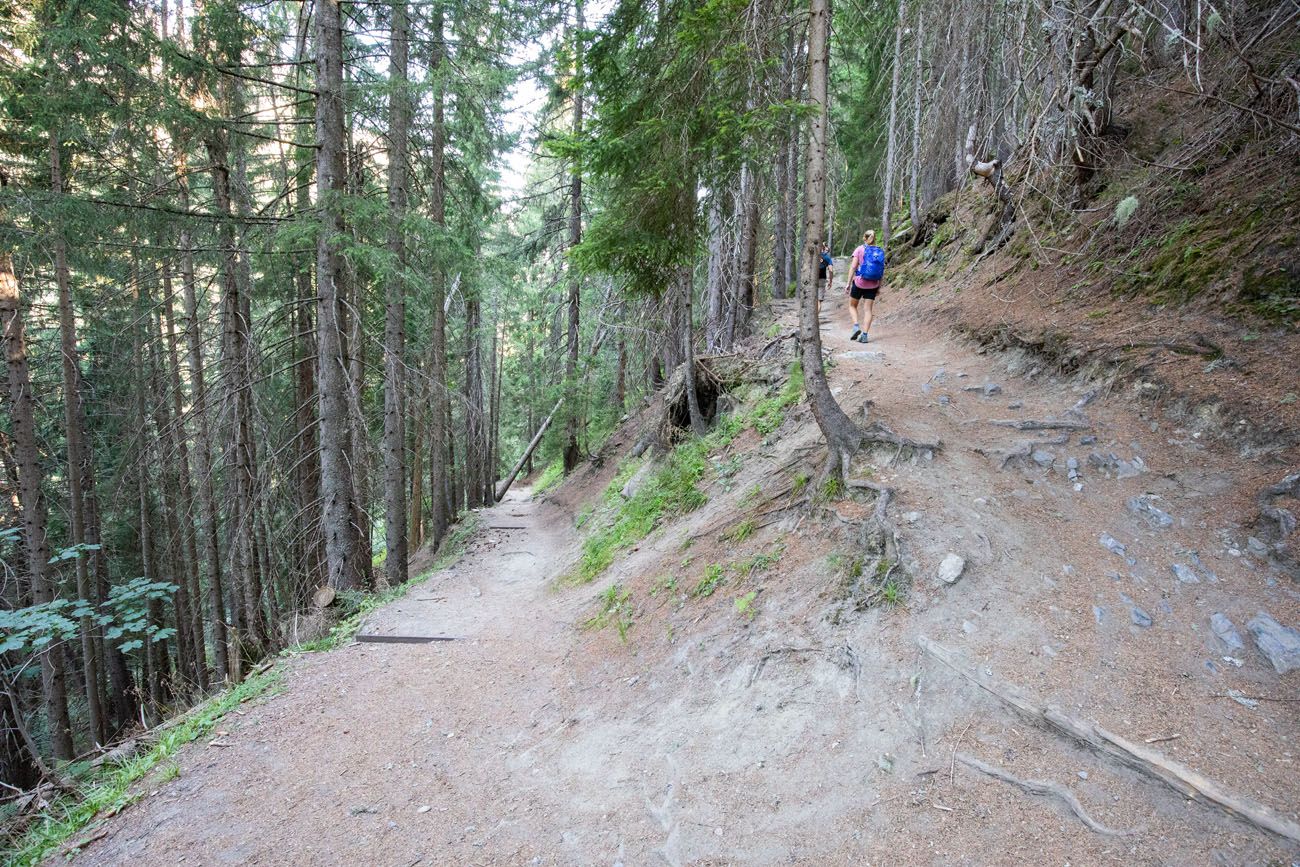 Haute Route Stage 2 Forest