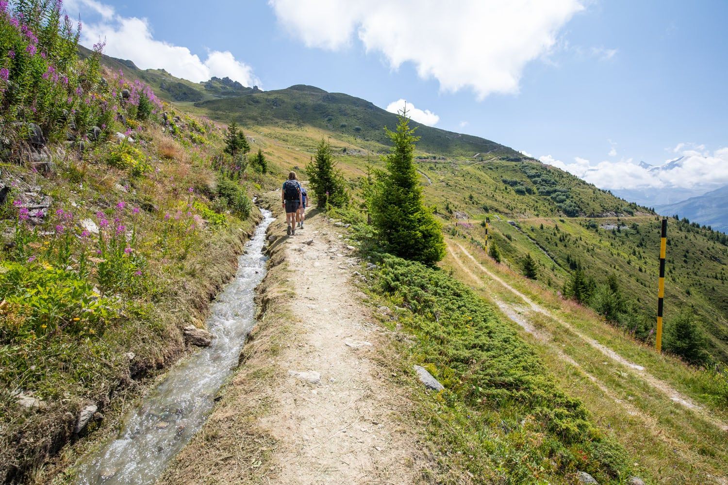 Haute Route Stage 5 Trail