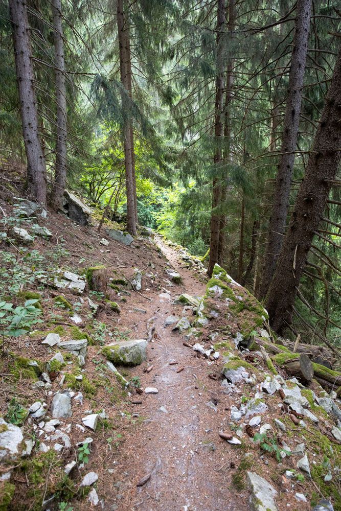 Haute Route Stage 5 Woods Trail