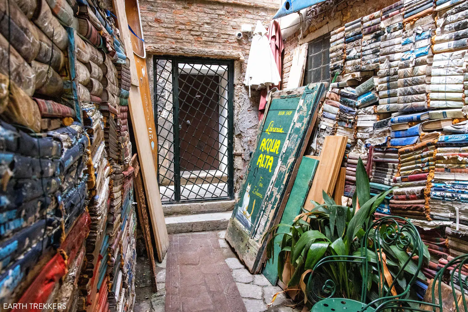 Libreria Acqua Alta | best things to do in Venice