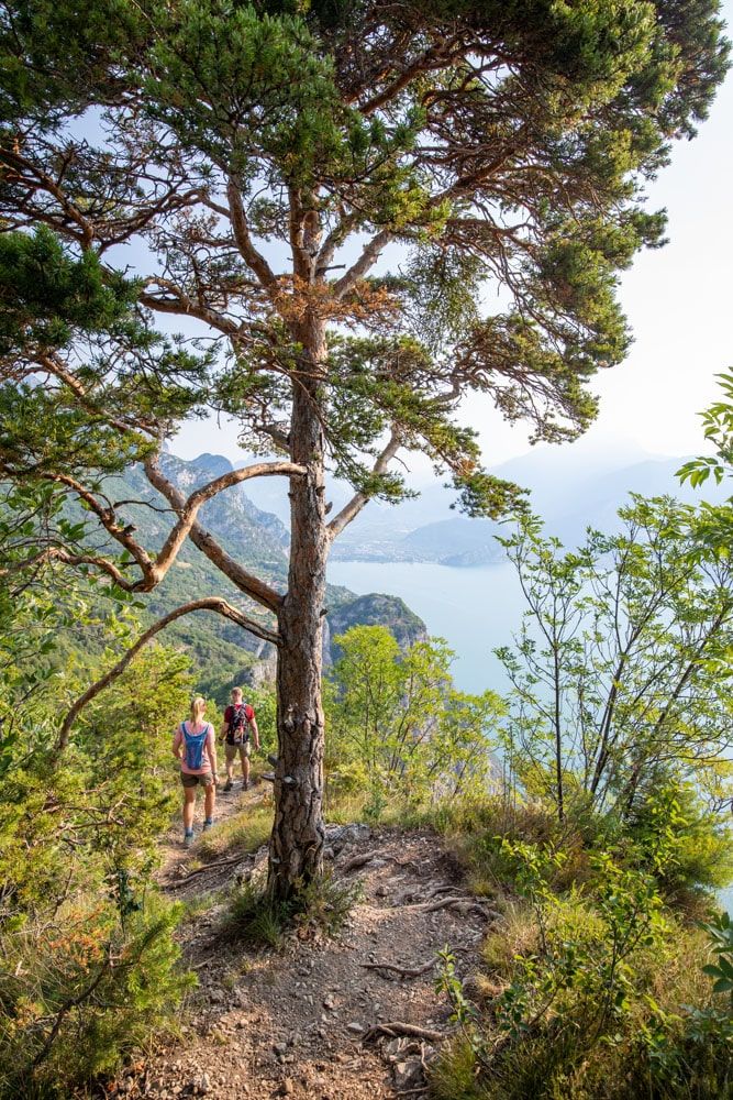 Punta Larici Trail