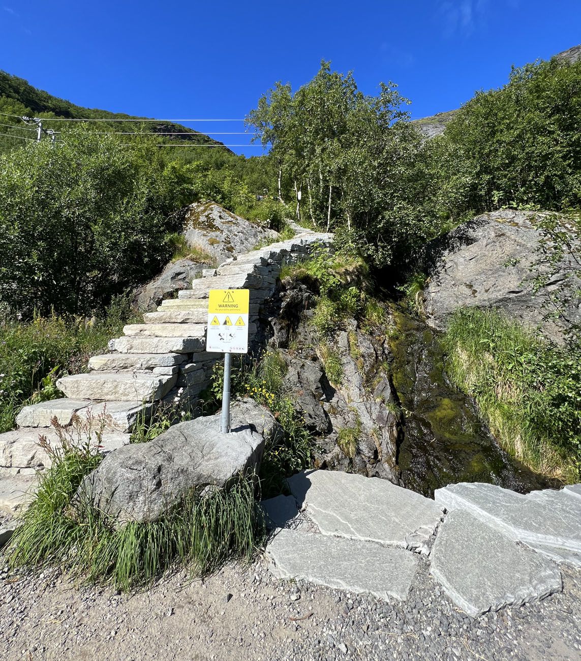 Reinebringen Stairs Photo