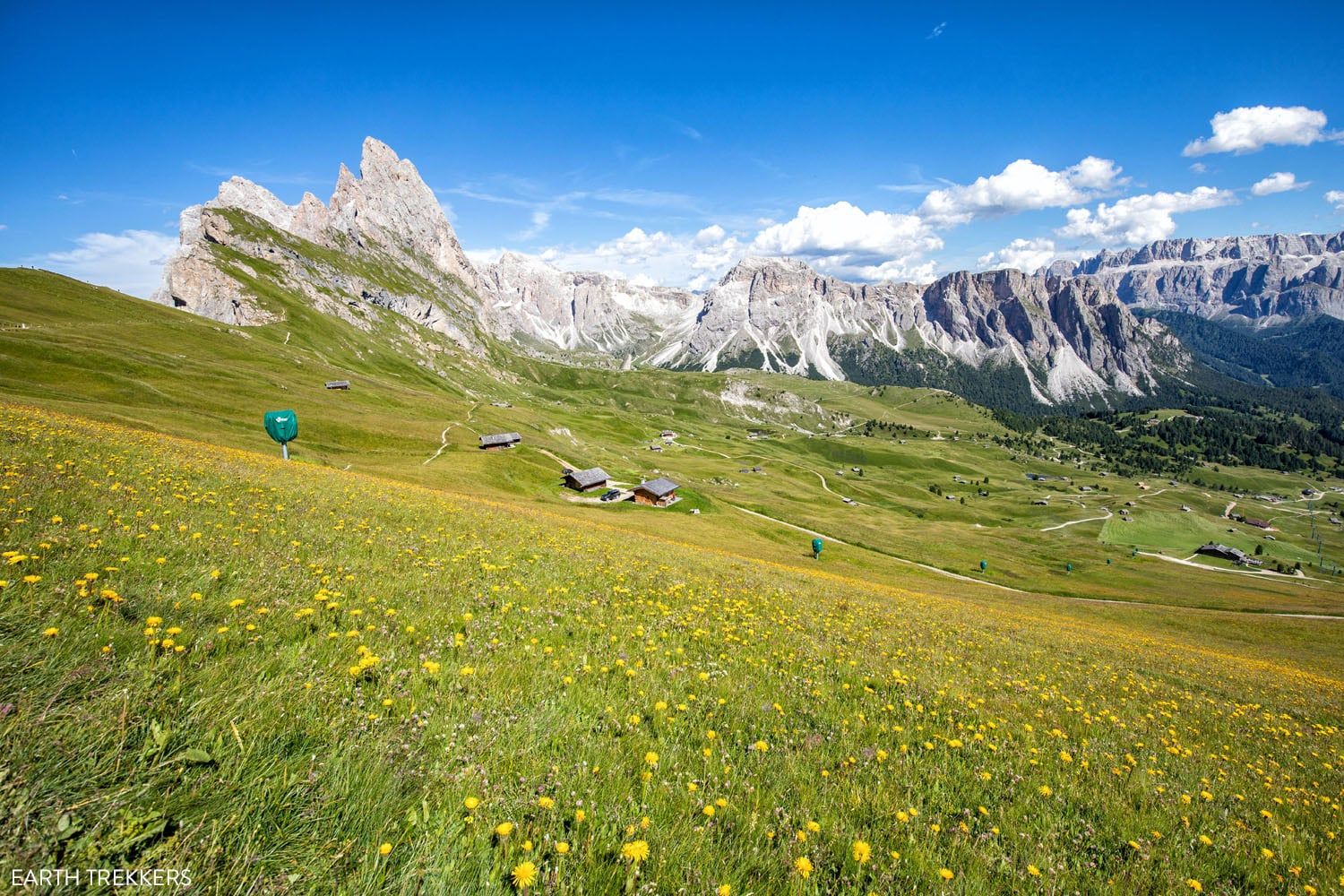 Seceda in the Summer