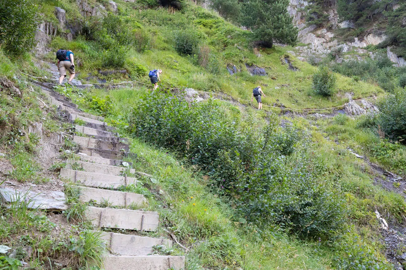 Steps on the Trail