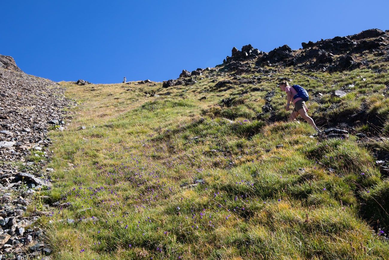 Trail to Col du Tsate