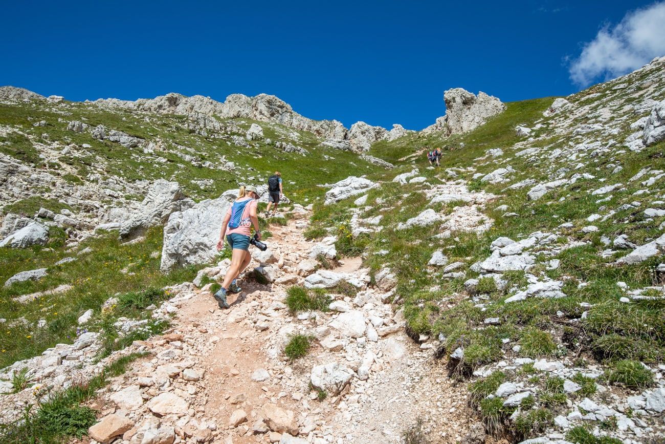 Trail to the Saddle