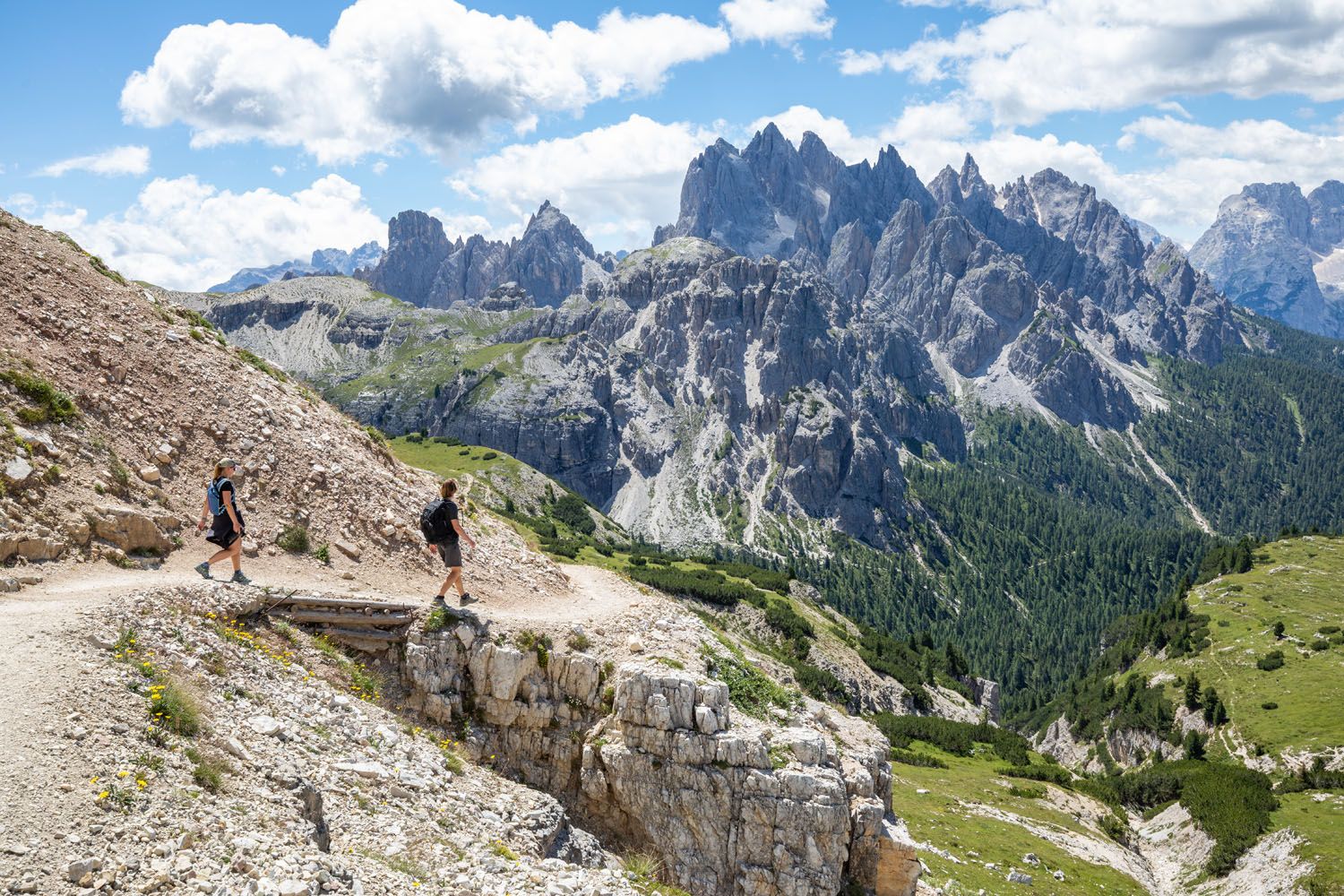 Tre Cime and Cadini di Misurina