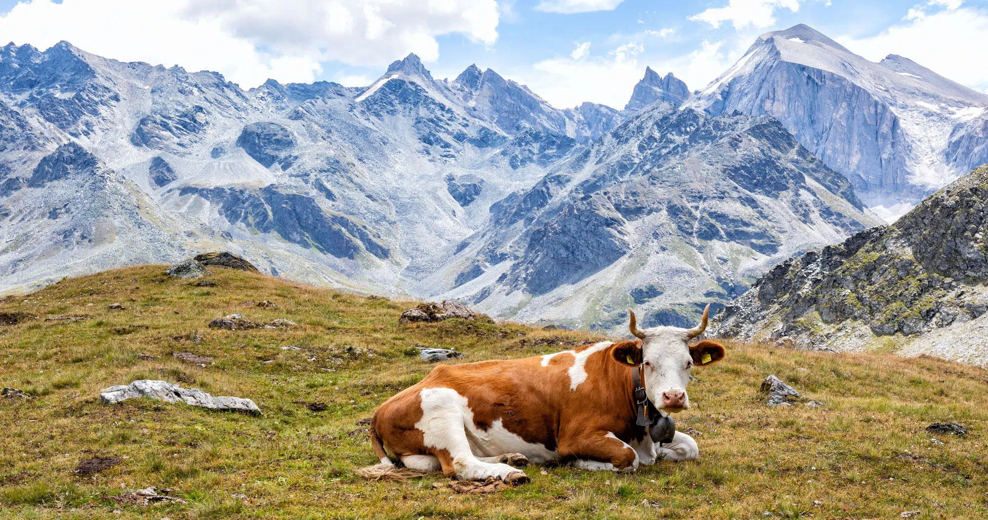 Featured image for “Walker’s Haute Route Stage 11: Zinal to Forcletta to Gruben”