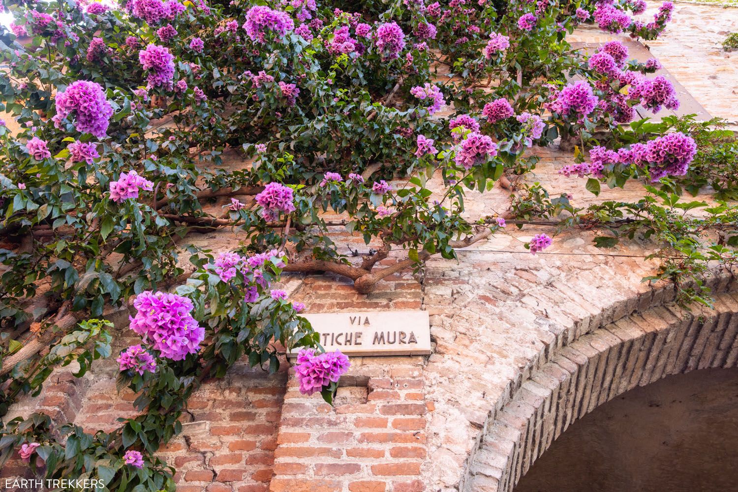 Bougainvillea Sirmione | Best things to do in Sirmione Lake Garda