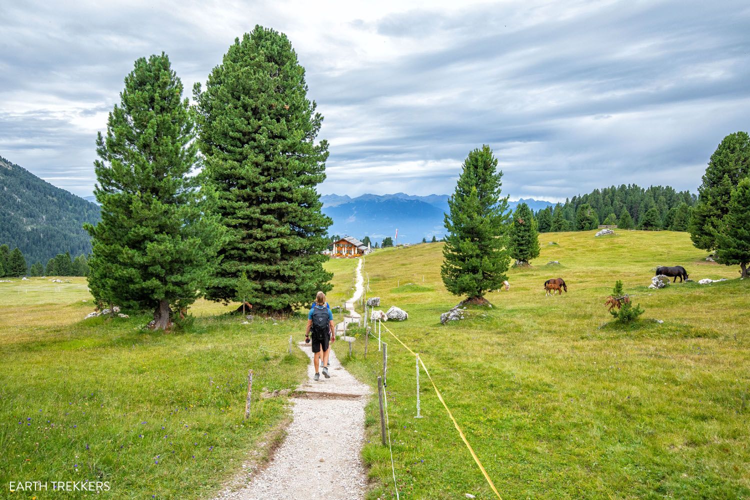 Casnago Meadow