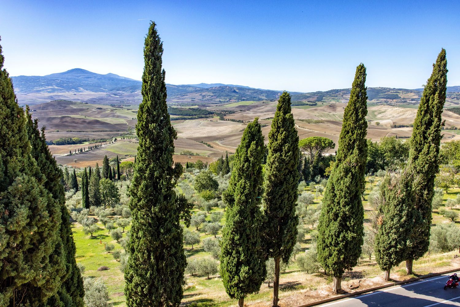 Piccolomini Palace View