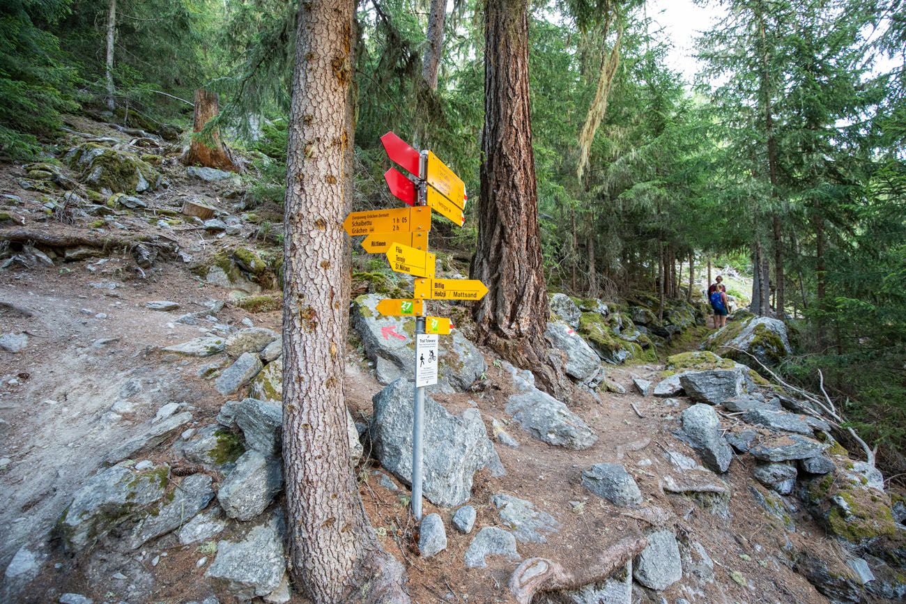 Trail Signs