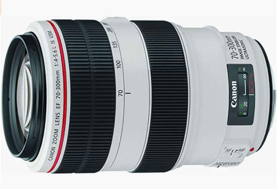 Canon Telephoto Lens