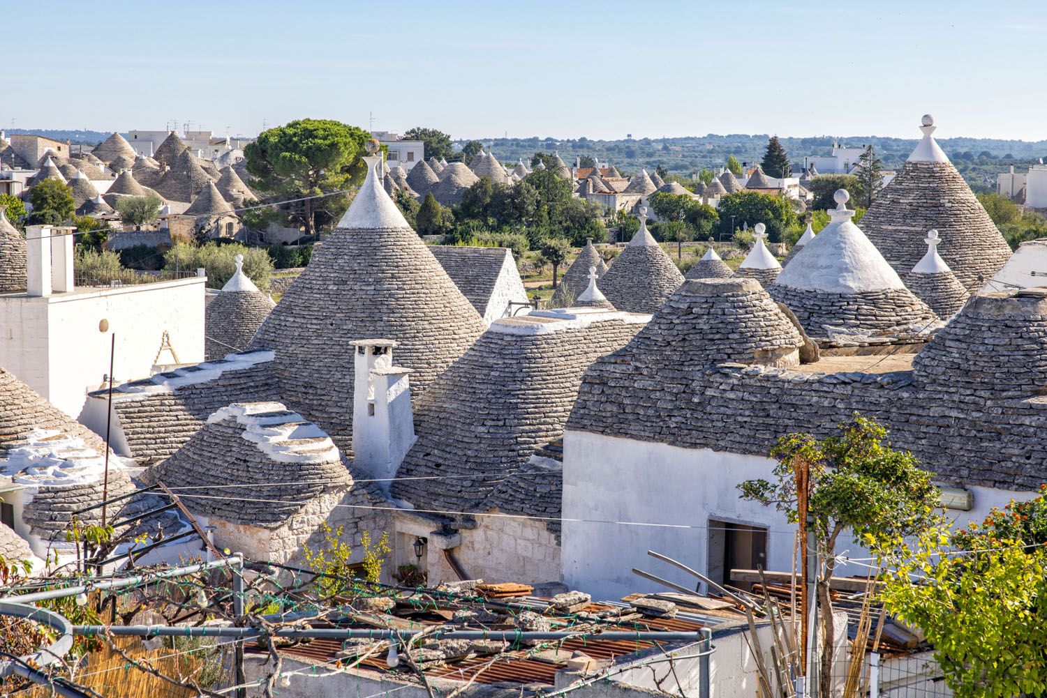 Rooftop View Alberobello