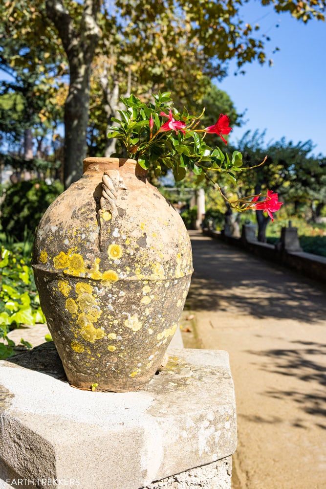 Villa Cimbrone Flowers