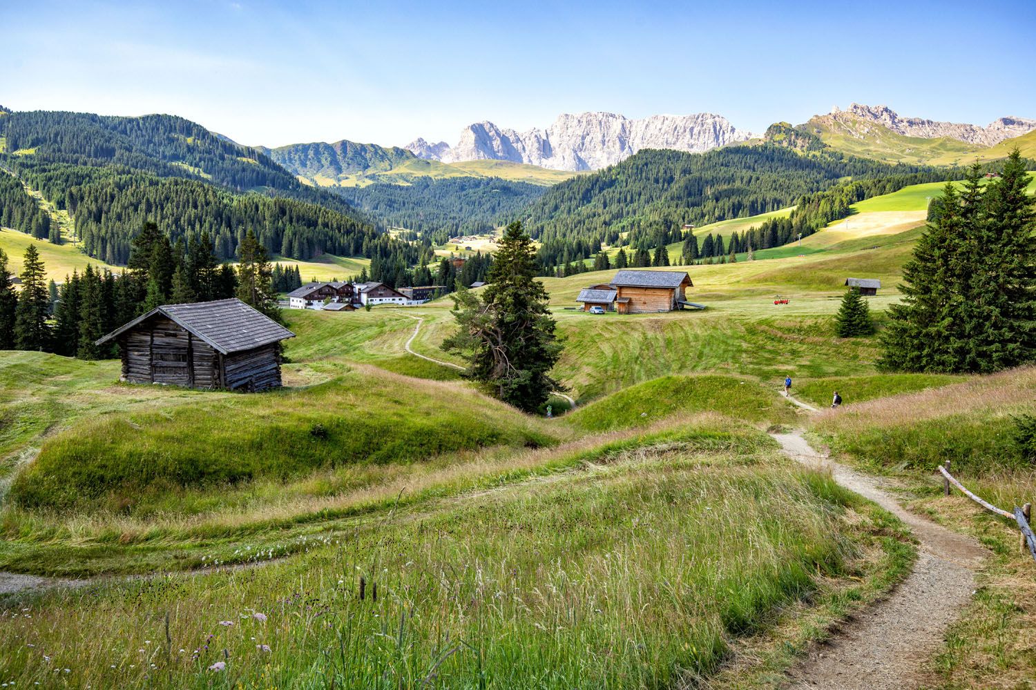 Alpe di Siusi Hike