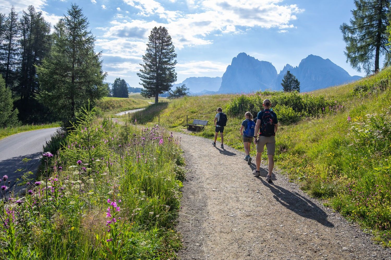 Alpe di Siusi Morning