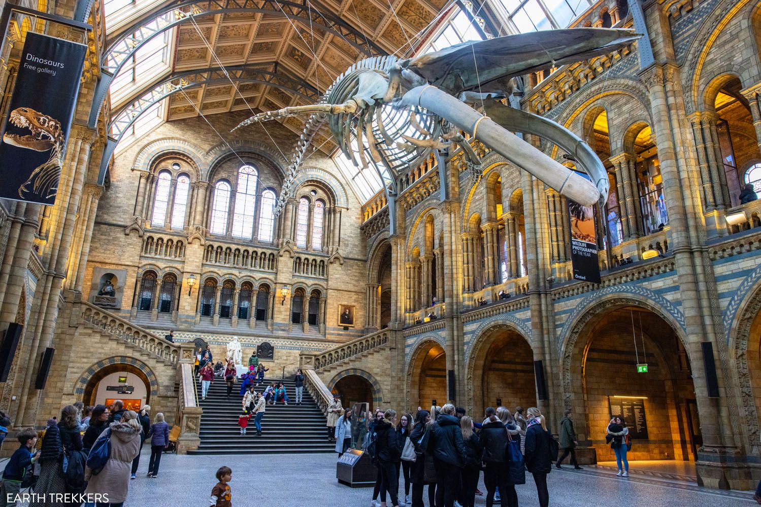 Natural History Museum London | London Christmas Itinerary